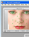 Download free skins of the skinable morphing software